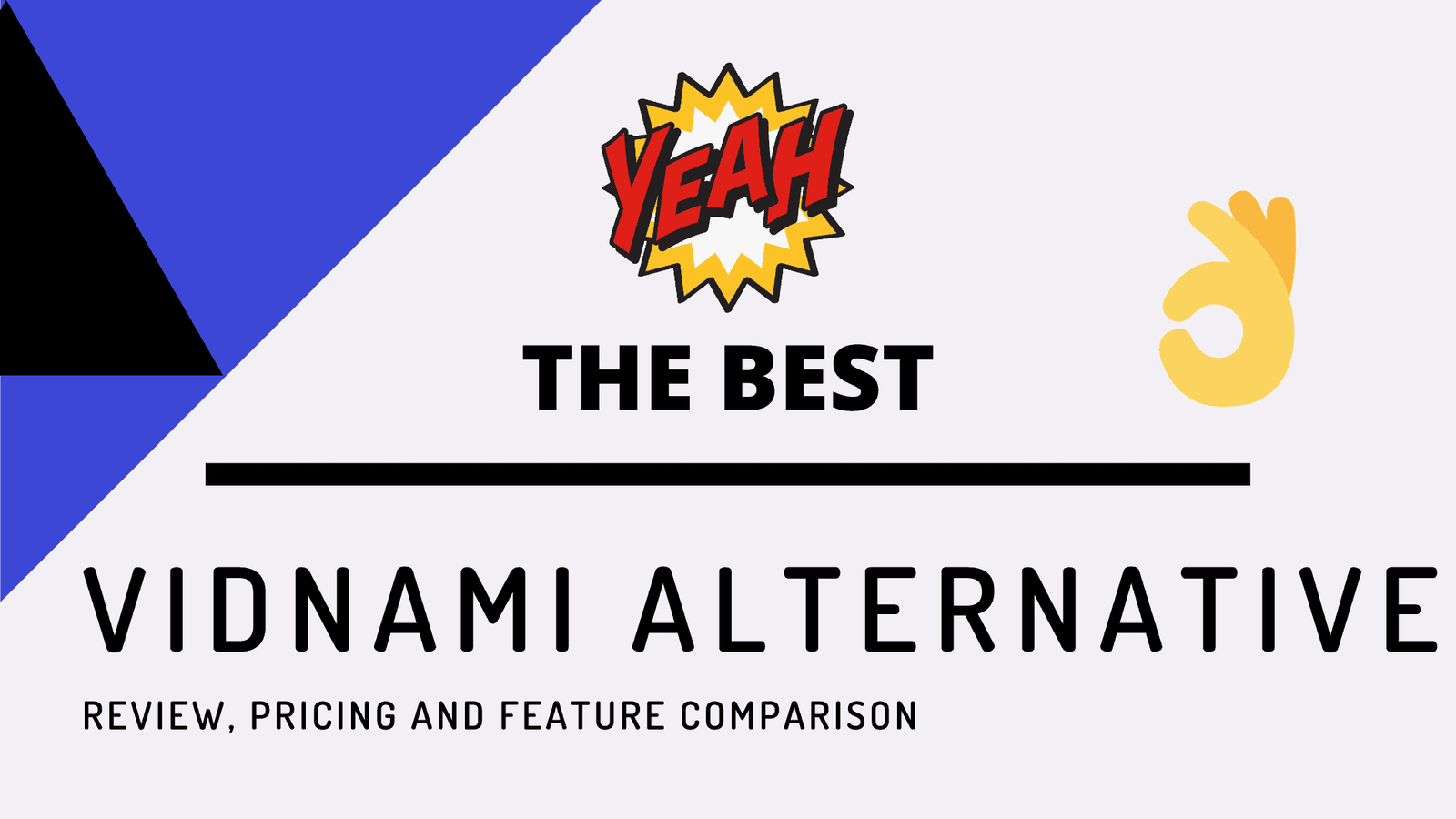 The Best Vidnami Alternative