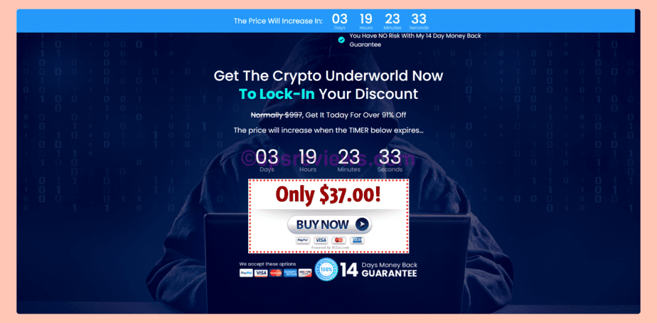 Crypto Underworld Review - Step 1: Pick Crypto Underworld course