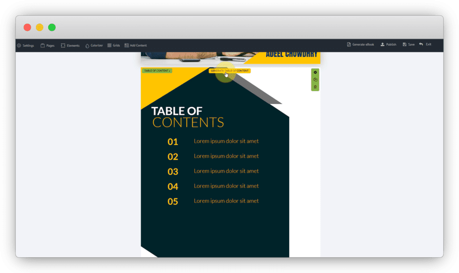 The table of content option