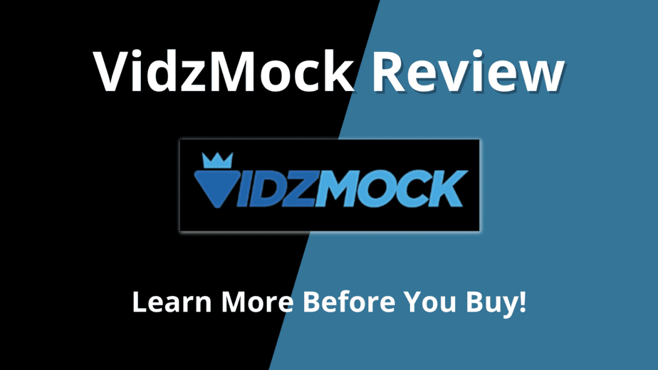 VidzMock Review